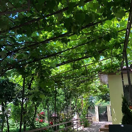 Gasthof Casa Lui Mamaia *