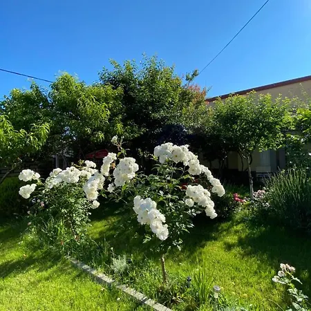 Casa Lui Mamaia